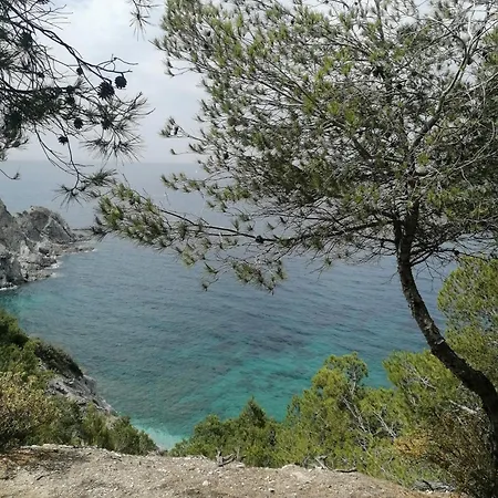 Calme Au Brusc *